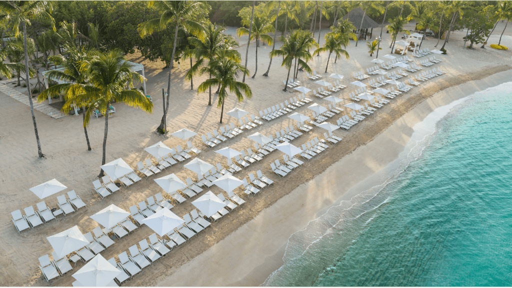 The Best Tours And Activities In Punta Cana For 2023 By Caribbean Tour Service