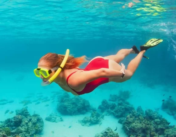 Snorkeling on Catalina Island