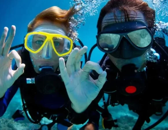 Diving In Catalina Island