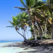 The best tours and activities in Punta Cana for 2023 by Caribbean Tour Service