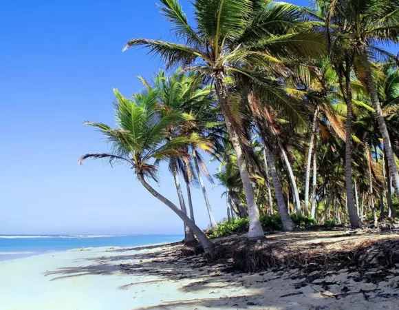 Dominican Republic, One Of The Top 10 Tourist Destinations For 2023