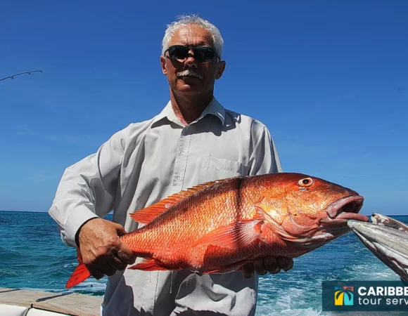 Bottom Fishing in Bavaro Beach